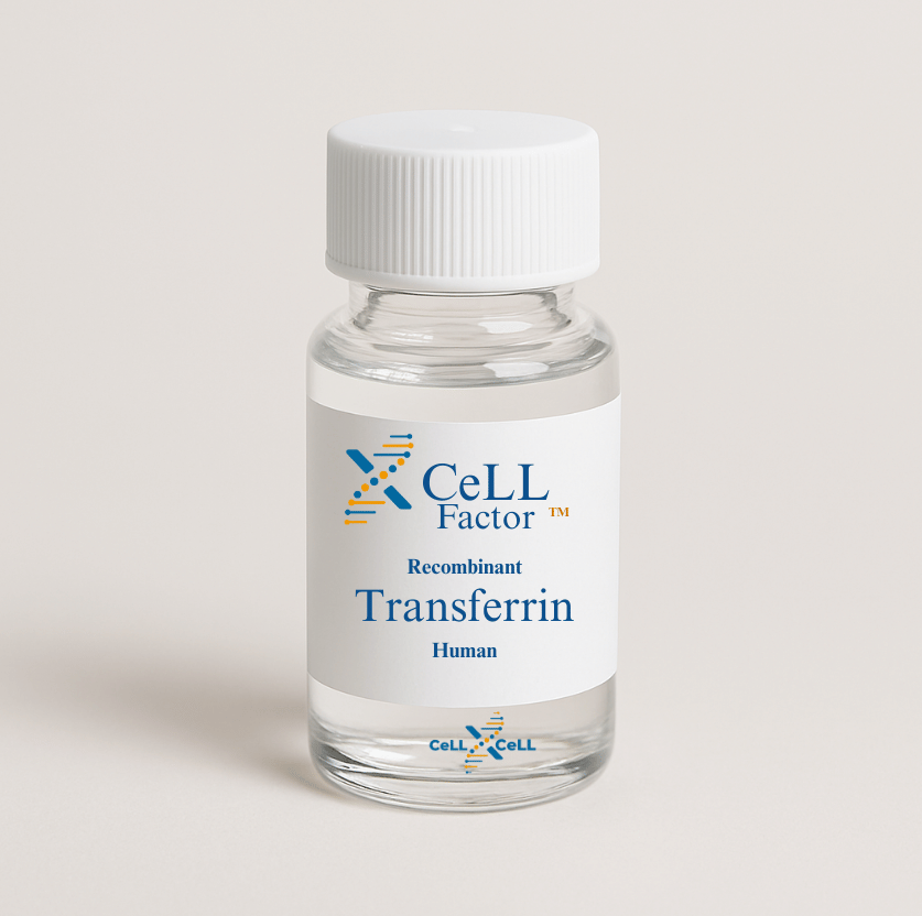 XCeLL Transferrin