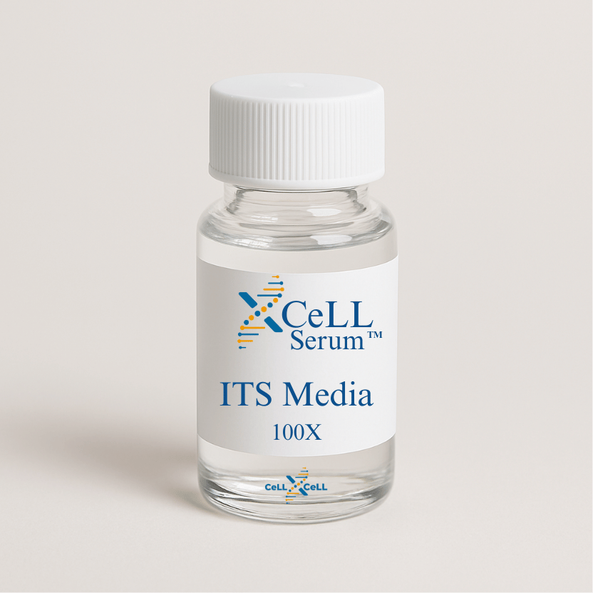 XCeLL ITS Media ™
