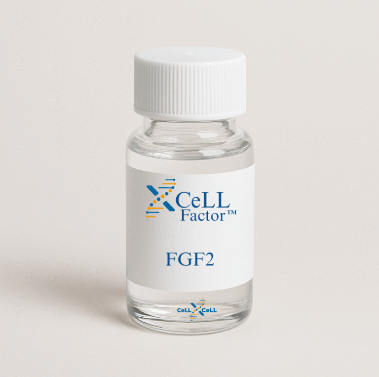 XCeLL Factor™ FGF2